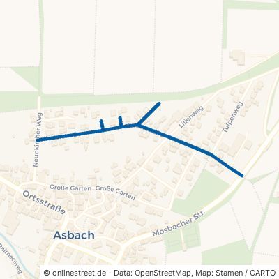 Fliederstraße Obrigheim Asbach 