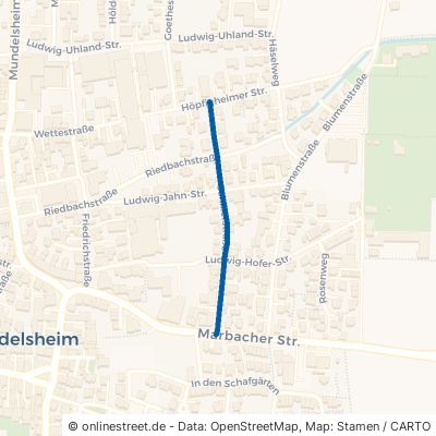 Schillerstraße 74385 Pleidelsheim 