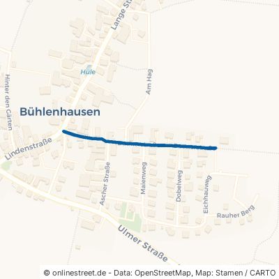 Daunerstraße Berghülen Bühlenhausen 
