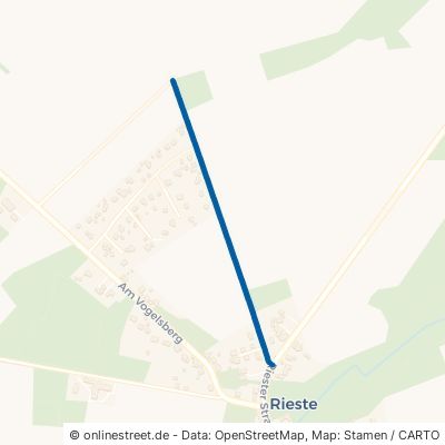 Grüner Weg Bienenbüttel Rieste 