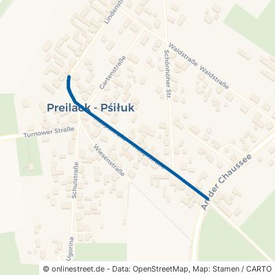 Hauptstraße Turnow-Preilack Preilack 