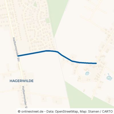 Waldweg Berumbur Holzdorf 