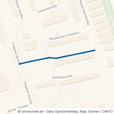 Birkenstraße 04567 Kitzscher 