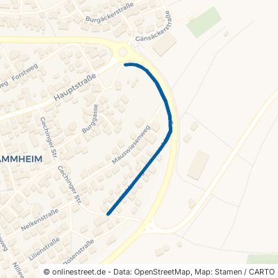 Holderweg 75365 Landkreis Calw Stammheim 