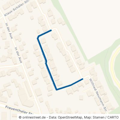Matthias-Faßbender-Straße 50374 Erftstadt Blessem 