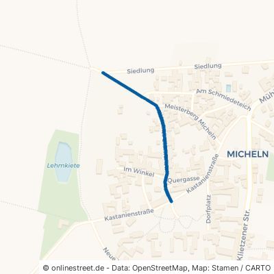 Michelner Blumenstraße Osternienburger Land Micheln 