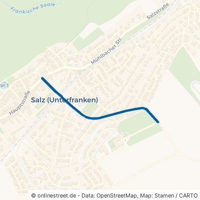 Frauenbergstraße Salz 