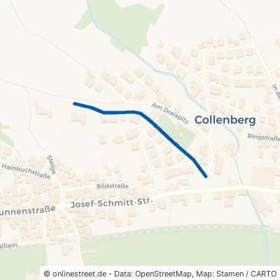 Vitus-Brander-Straße Collenberg Reistenhausen 