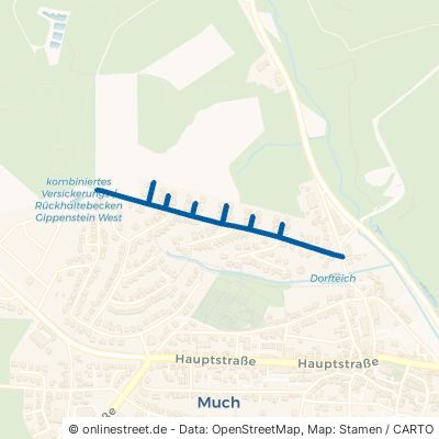 Schmerbachstraße Much 