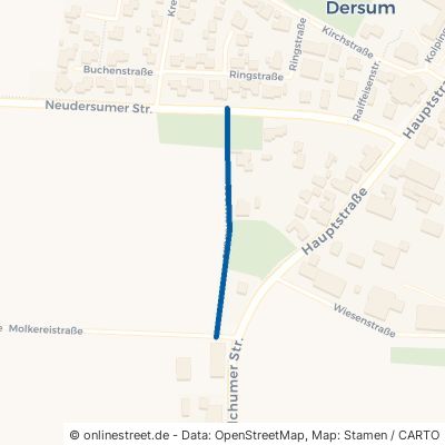 Loewnerstraße Dersum 
