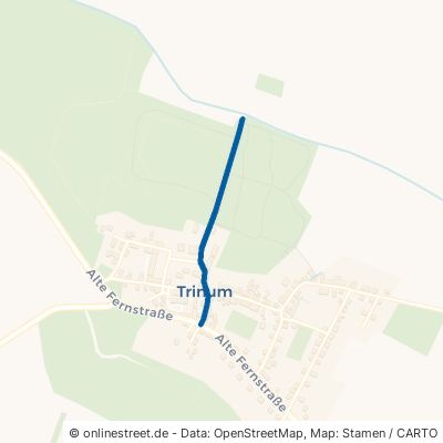 Dr.-Enno-Sander-Straße Osternienburger Land Trinum 