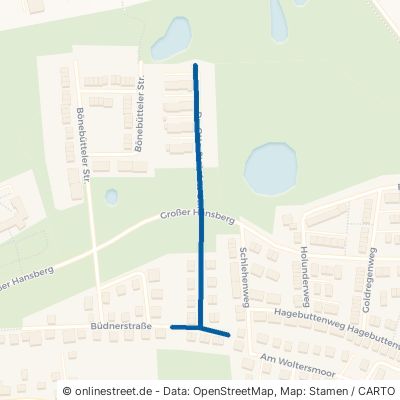 Dr.-Otto-Steinfatt-Straße Wittenförden 