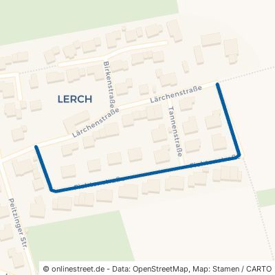 Fichtenstraße Schönberg 