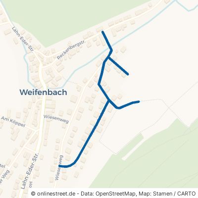 Weidenfeldstraße Biedenkopf Weifenbach 