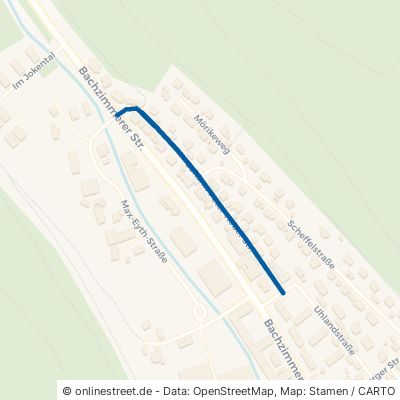 Johann-Peter-Hebel-Straße 78194 Immendingen 