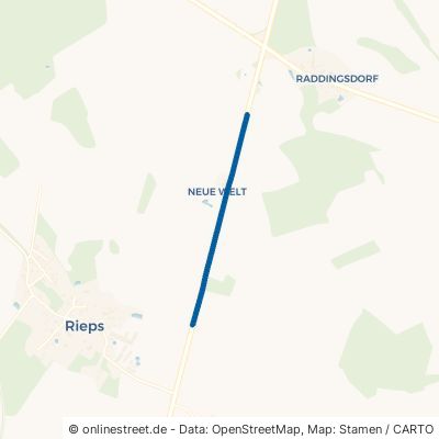Raddingsdorf Ausbau Rieps 