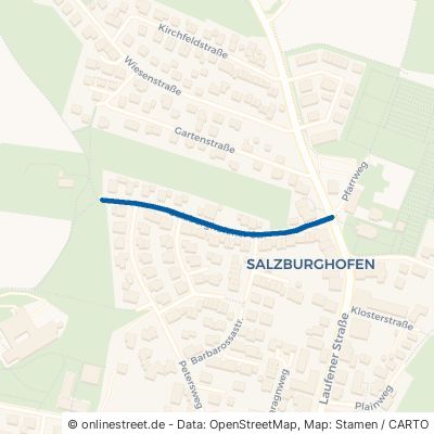 Salzburghofener Straße 83395 Freilassing 