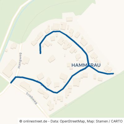 Hammerau-Ringweg Sinsheim 
