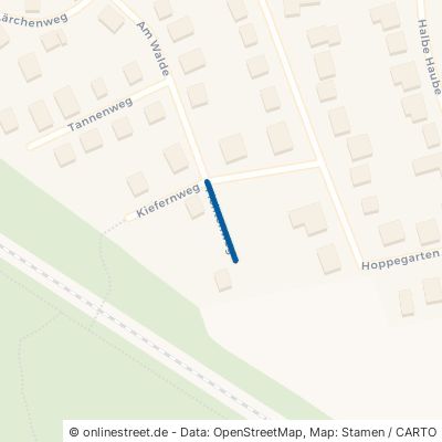 Fichtenweg Grasleben 