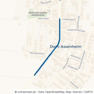 Assenheimer Straße 61203 Reichelsheim Dorn-Assenheim 