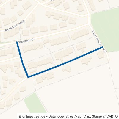 Burgunderweg 69168 Wiesloch 