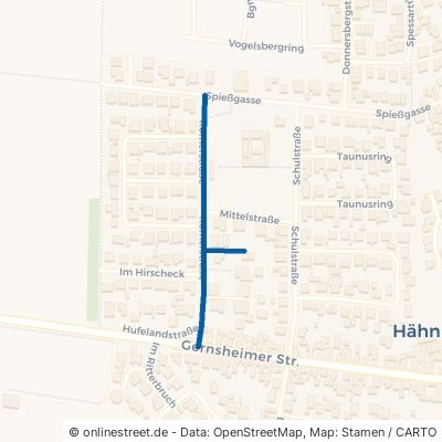 Römerstraße Alsbach-Hähnlein Hähnlein 
