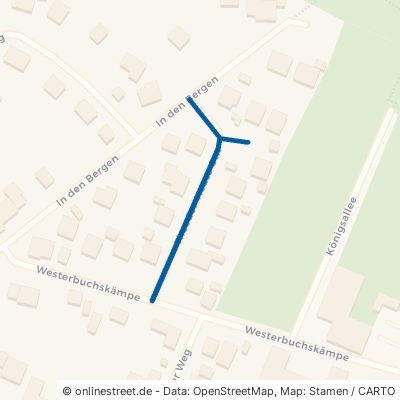 Theodor-Heuss-Straße Nienburg Langendamm 