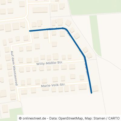 Wilhelm-Graf-Straße Messel 
