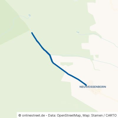 Waldweg Bennewitz Trebsener Holz 
