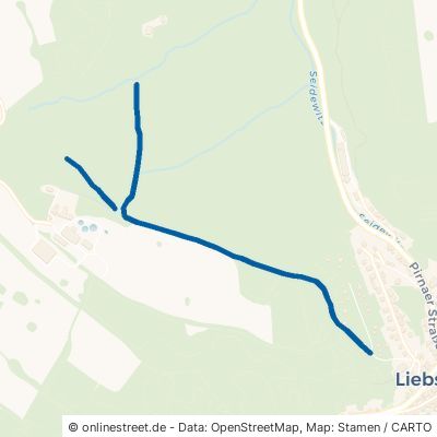Roter Busch Liebstadt 