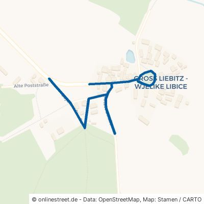Goyatzer Straße Schwielochsee Groß Liebitz 
