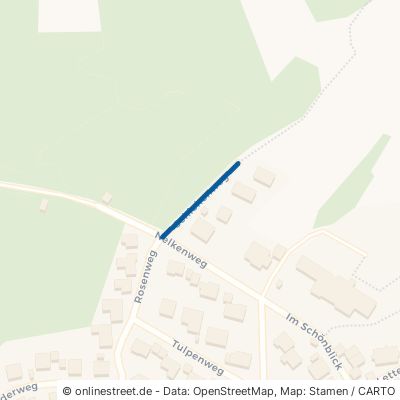 Schlehenweg 74420 Oberrot 