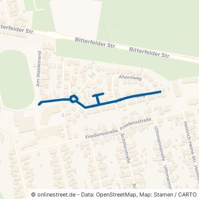 Buchenweg Sandersdorf-Brehna 