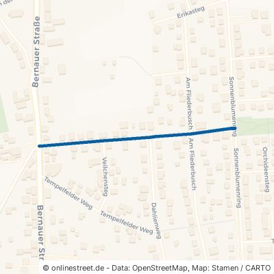 Otto-Schmidt-Straße 16321 Bernau bei Berlin Ladeburg 