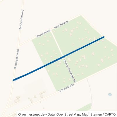 Zeisigweg 03149 Forst Forst-Stadt 