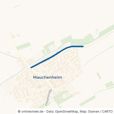 Alzeyer Straße 67294 Mauchenheim 