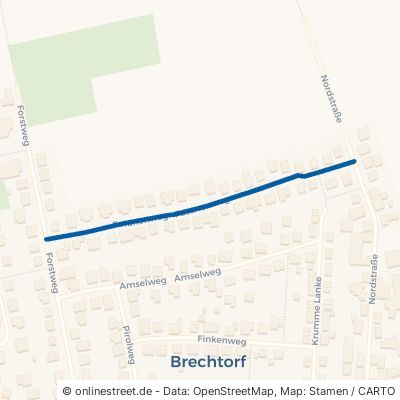 Fasanenweg Rühen Brechtorf 