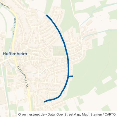Am Ring Sinsheim Hoffenheim 