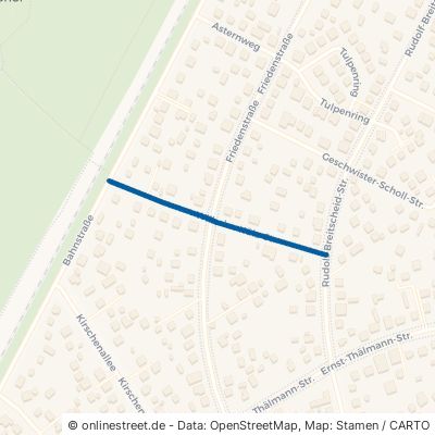Wilhelm-Külz-Straße 16356 Ahrensfelde 