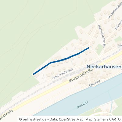 Schulweg Neckarsteinach Neckarhausen 
