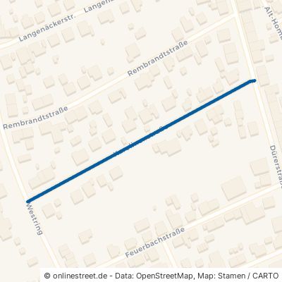 Karolinenstraße Homburg Erbach 