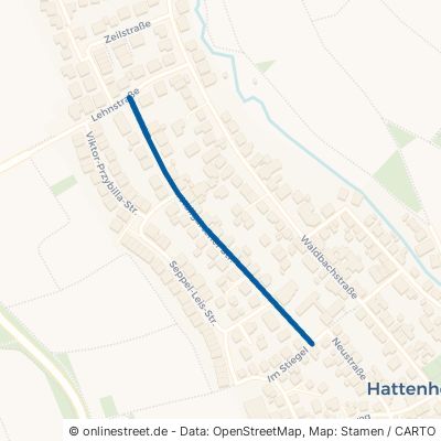 Hallgartener Straße 65347 Eltville am Rhein Hattenheim Hattenheim
