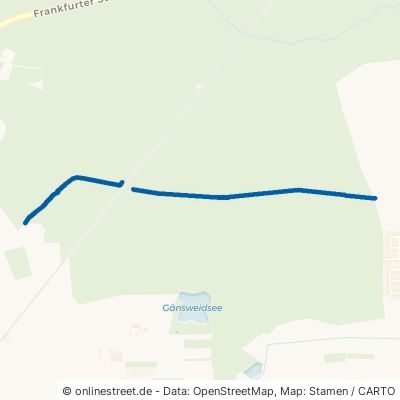 Mainzer Weg Schneise Groß-Gerau 