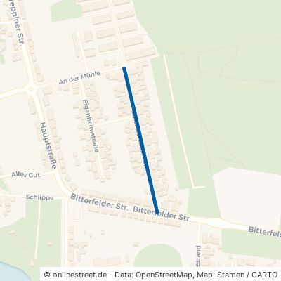 Ernst-Borsbach-Straße Sandersdorf-Brehna Sandersdorf 