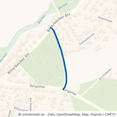 Abt-Molitor-Straße Coesfeld Coesfeld-Stadt 