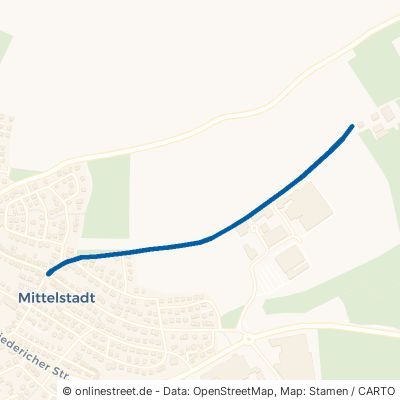 Fröhlefelderweg Reutlingen Mittelstadt 