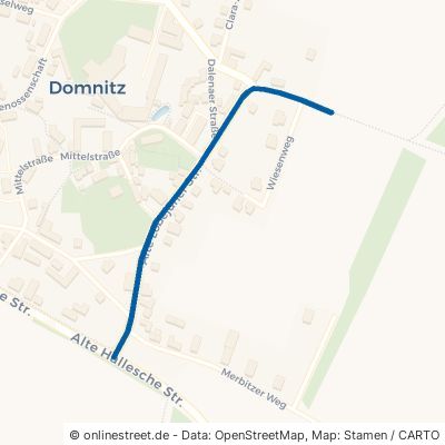 Alte Löbejüner Straße Wettin-Löbejün Domnitz 