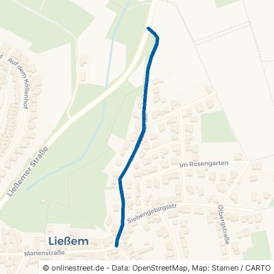 Lannesdorfer Straße Wachtberg Ließem 