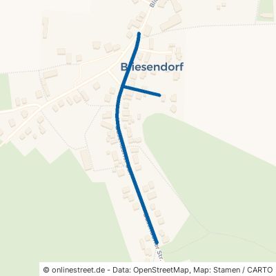 Busendorfer Straße Werder Bliesendorf 