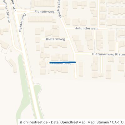 Tannenweg 68809 Neulußheim 